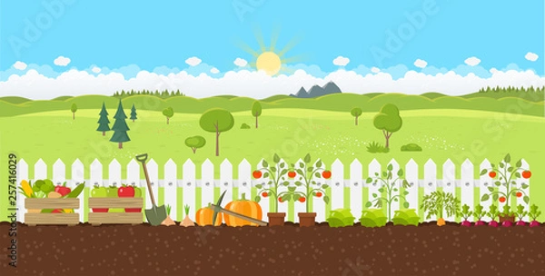 Obraz Gemüse Anbau mit schöner Landschaft Flat Design