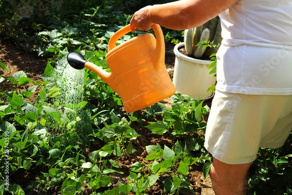Fototapeta Gartenarbeit 3.1
