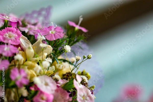 Obraz bee on a flower