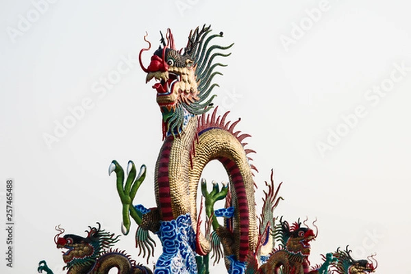 Obraz chinese dragon on white background