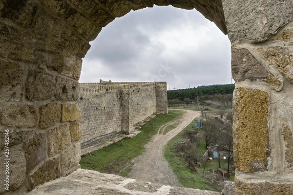 Obraz Citadel rear