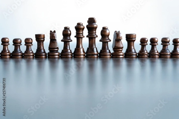 Fototapeta Chess figures on chessboard. concept of business strategy and tactic.