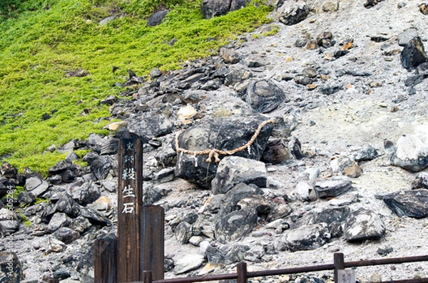 Obraz 割れていない殺生石　無人