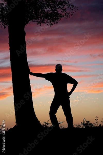 Fototapeta silhouette of man standing leaning against a tree intently watching the cloudy sky at sunset