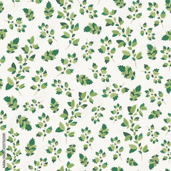 Obraz Leaf branches, foliage greenery on white background seamless vector pattern