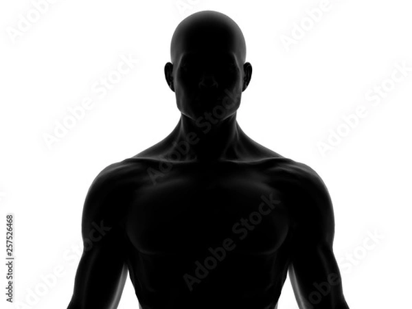 Obraz Human Man Front close up on isolated White 3D Rendering