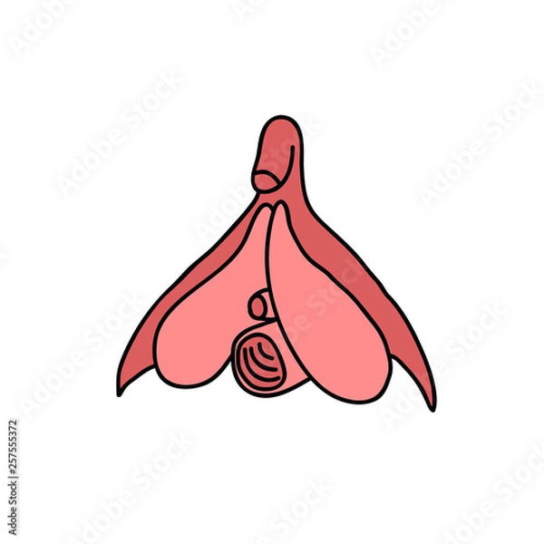 Fototapeta clitoris doodle illustration