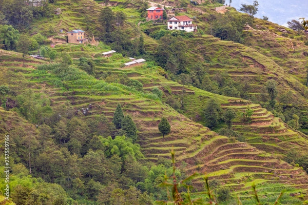 Fototapeta カトマンズ