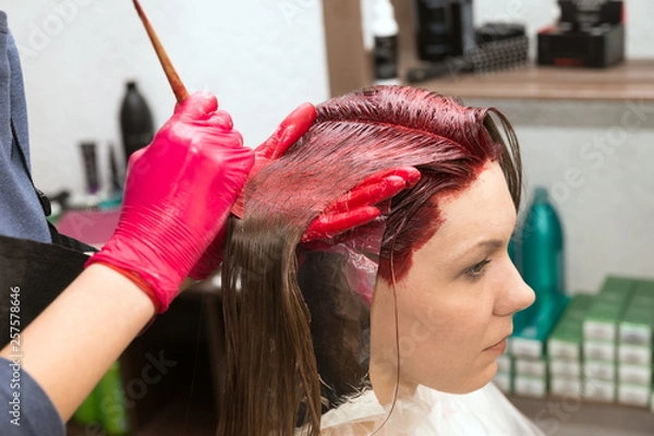 Fototapeta The hands of a hairdresser in red gloves paints with a brush the hair in red color of a client girl. 