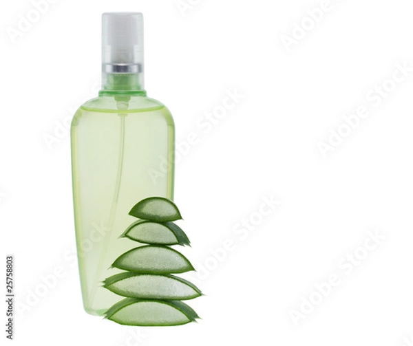 Obraz Aloe Vera Spa