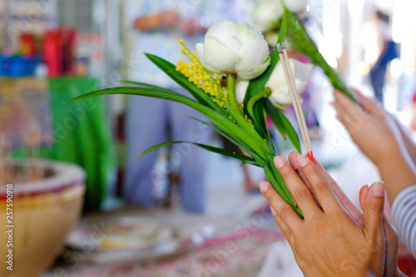 Obraz a white lotus in hand