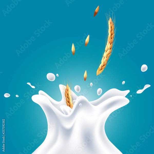 Fototapeta Vector realistic milk splashes with oat gradient background