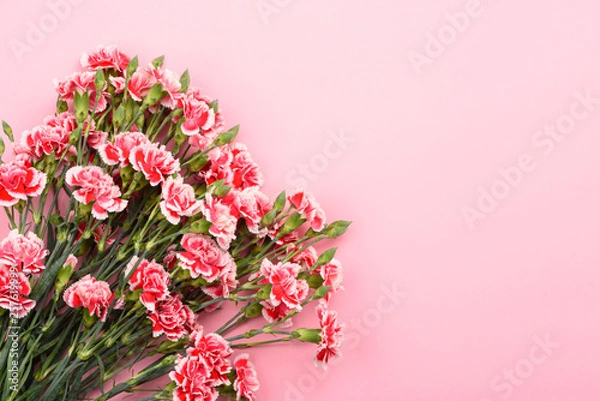 Fototapeta Bouquet of carnation flowers on pastel pink background. Top view with copy-space.