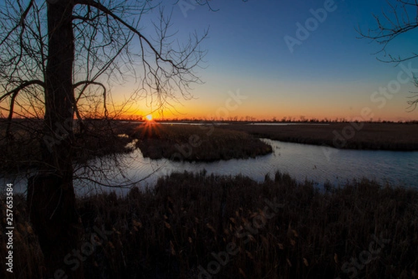 Obraz sunset over wetland