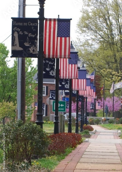 Obraz american flags along a street