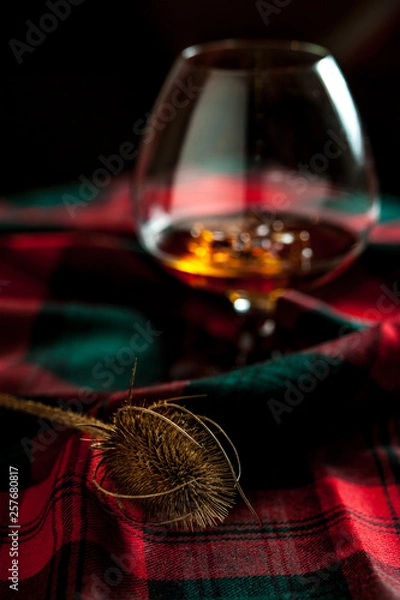 Fototapeta Glass of scottish whisly on a table with traditional tartan and a thisly, symbol of scotland