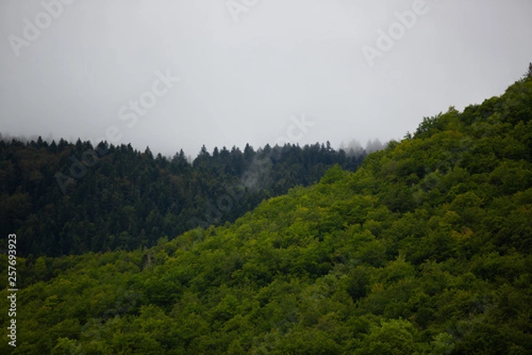 Obraz montagne brume