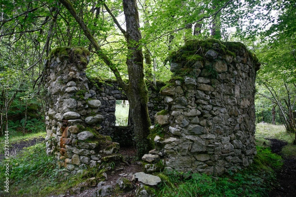 Obraz Ruine et arbre
