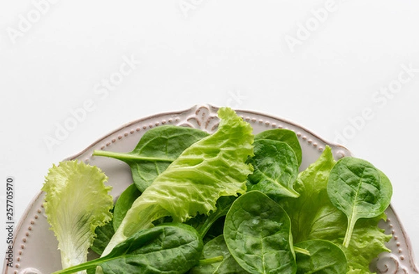 Fototapeta A mixture of spinach leaves and salana leaves on a plate. Selective focus, white background.