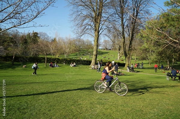 Fototapeta Toronto, Canada - 05 09 2018: Torontonians relaxing and having fun in High Park Toronto which attracts many visitors in spring to celebrate nature awakening