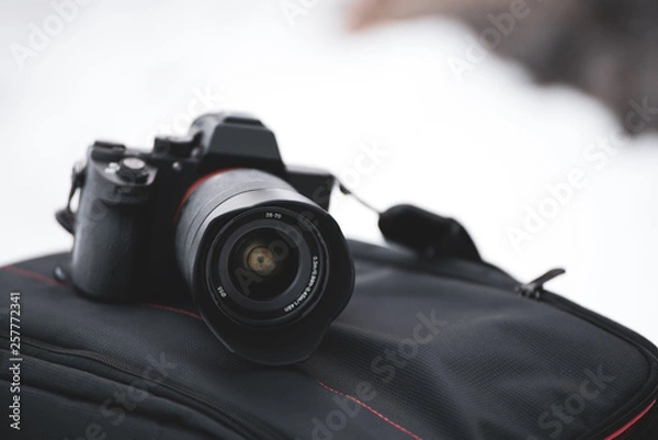 Obraz Mirrorless camera on the camerabag