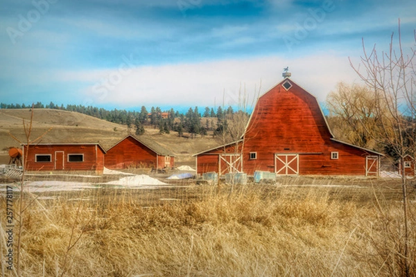 Obraz Red Barn in Sprin g