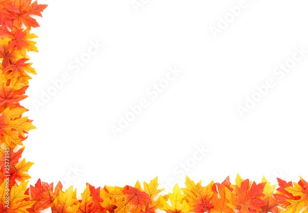 Obraz Boarder With Leaves