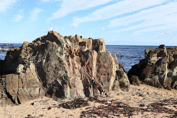 Fototapeta 平磯海岸