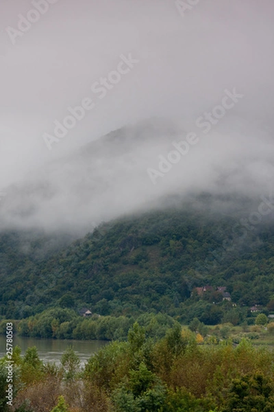 Fototapeta foggy landscape