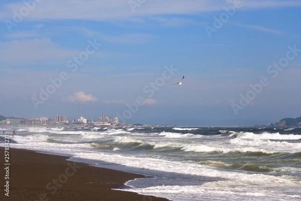 Fototapeta 辻堂海岸から眺める江の島