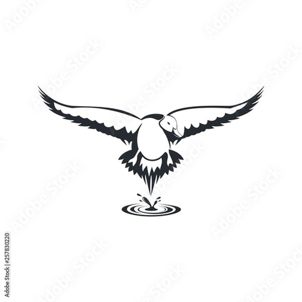 Fototapeta duck pintail logo vector