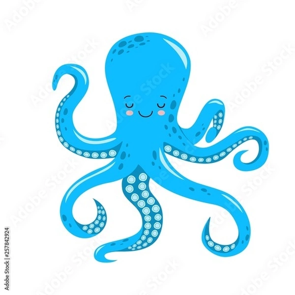 Obraz Vector cute octopus illustration isolated on white background