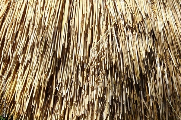 Fototapeta Thatched roof