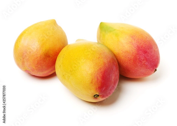 Fototapeta Mango on white background