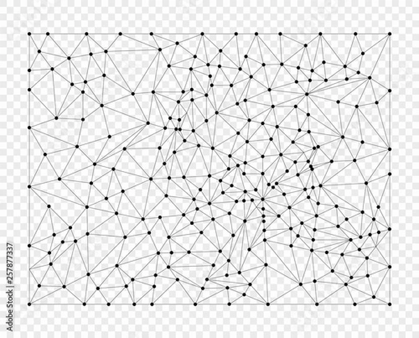 Fototapeta Polygon lines with points, grid. Overlay element. Vector object isolated on a light background.