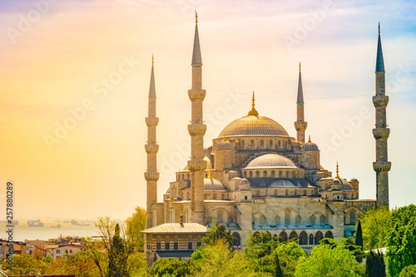 Fototapeta Minarets and domes of Blue Mosque with Bosporus and Marmara sea in background, Istanbul, Turkey.