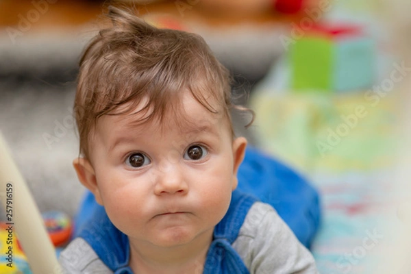 Fototapeta The boy lies on his stomach on the carpet and crawls