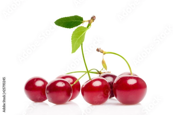 Obraz Cherry