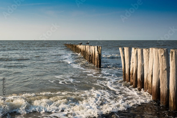 Obraz falochrony rzędowe na Morzu Północnym, Cadzand Bad, Holandia