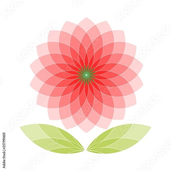 Obraz Pink Flower Symbol Isolated Elements