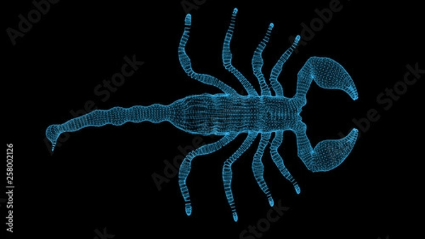 Fototapeta 3d rendering scorpion wire frame high poly mesh