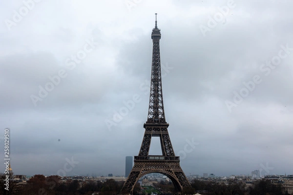 Obraz View of  Eiffel Tower