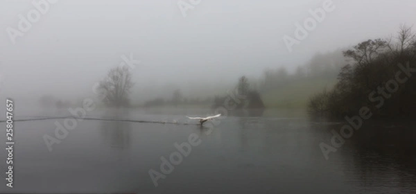 Obraz Impressionen aus Irland