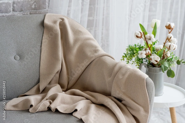 Obraz On the gray sofa there is a beige plaid trimmed with lace. Next is a chair, on it a vase with white tulip and branches of cotton. 