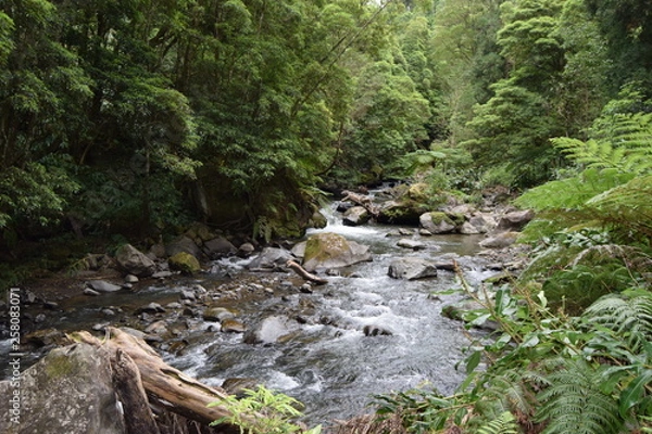 Obraz Açores Potugal