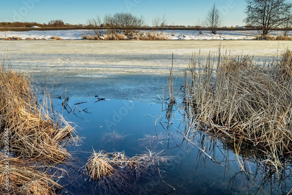 Obraz Beautiful spring Russian landscape