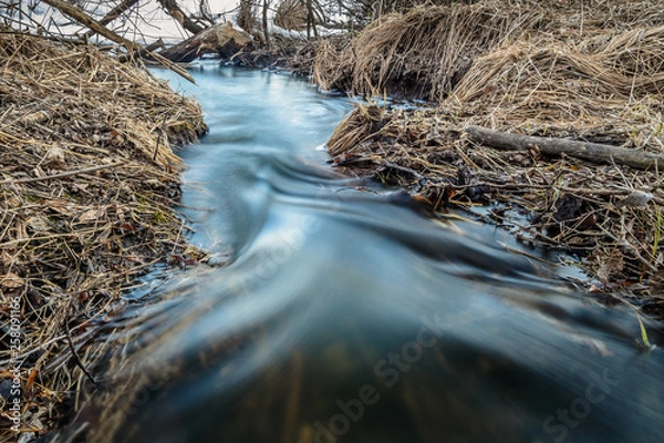Obraz Beautiful transparent spring creek