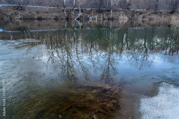 Obraz Beautiful reflections spring river
