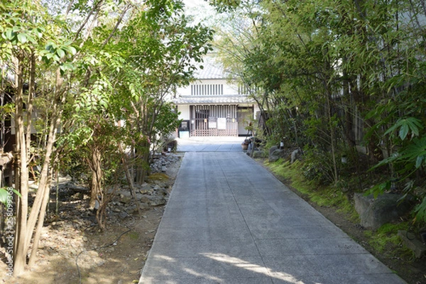 Obraz 和風の庭園