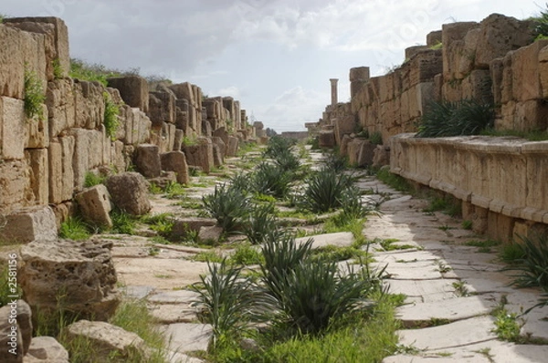 Obraz ruelle du site leptis magna